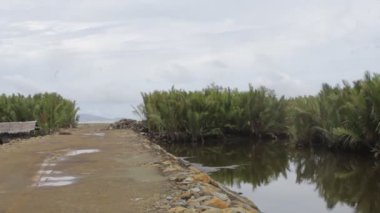 Güzel tropikal plaj, doğa ormanı nehirde yolculuk geçmişi.