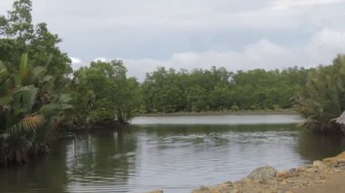 Surigao del Norte Filipinleri 'nde sakin bir nehirde palmiye ağaçları ve su