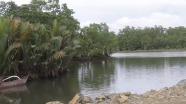 Surigao del Norte Filipinleri 'nde sakin bir nehirde palmiye ağaçları ve su