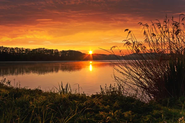 Sunrise on the pond — Zdjęcie stockowe