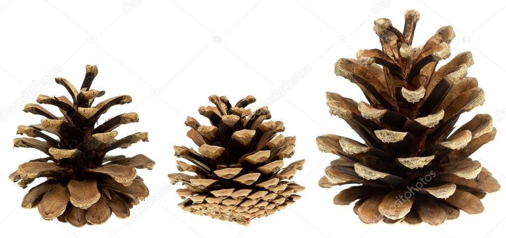 Set of cones isolated on white