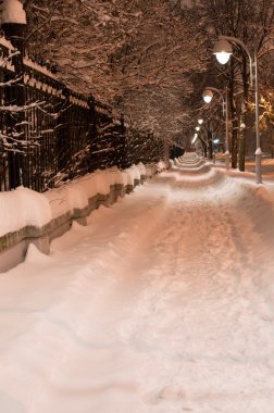 Karlı gece yol City. Parlak ışık fenerler. Dikey görünüm