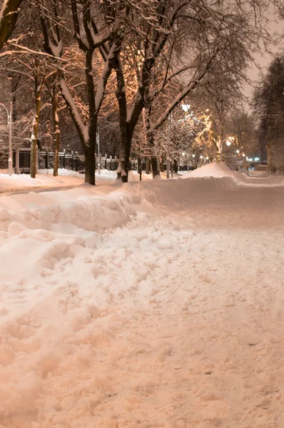 Winter park βράδυ κατακόρυφη προβολή — Φωτογραφία Αρχείου