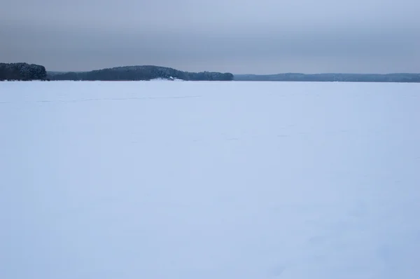 Lago de invierno cubierto de espectáculo. Árboles en el horizonte — Foto de Stock
