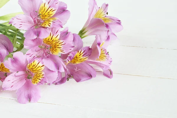 Lilac alstroemeria flowers on white painted wooden table — Stock Photo, Image