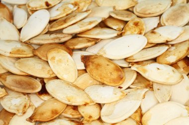 Gıda arka plan - büyük kabuksuz kavrulmuş kabak çekirdeği