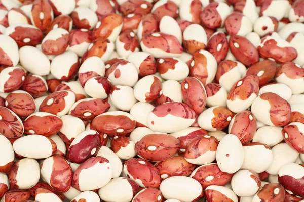 Fundo alimentar - vermelho cru com feijão branco salpicado . — Fotografia de Stock