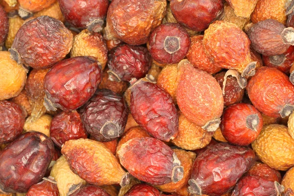 Food background - dried rose hips — Stock Photo, Image