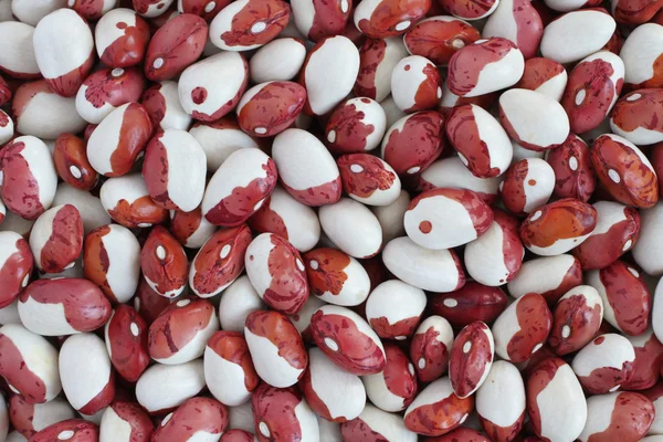 Latar belakang makanan - merah mentah dengan kacang ginjal berbintik putih . — Stok Foto