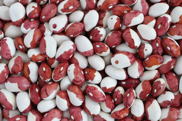 Fundo alimentar - vermelho cru com feijão branco salpicado . — Fotografia de Stock