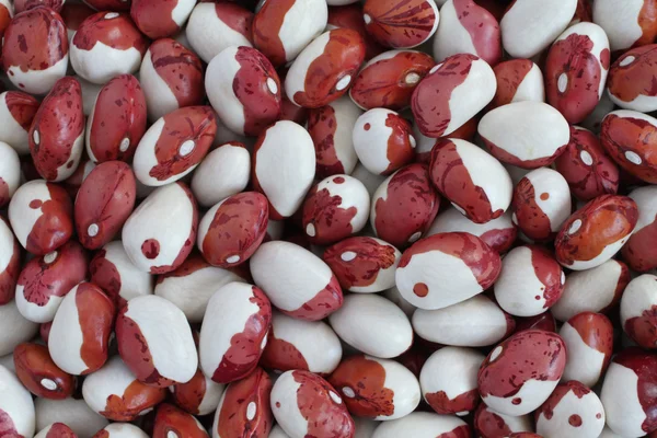 Mat bakgrund - raw röd med vit spräcklig kidneybönor. — Stockfoto