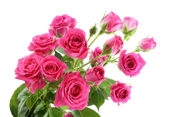 Beyaz arka planda izole edilmiş küçük pembe güller buketi