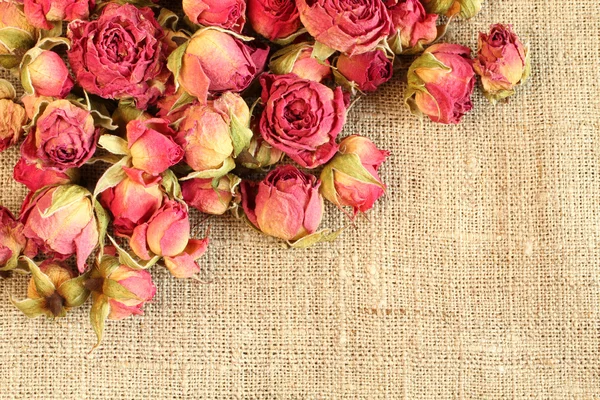 Gedroogde rozenbottels op linnen doek. Closeup — Stockfoto