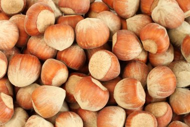 Unshelled fındık yığın. Portre