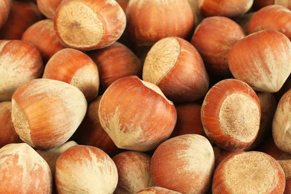 Lískové ořechy para haldy. Closeup — Stock fotografie