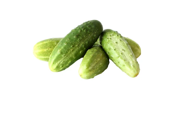Cucumbers on white background — Stock Photo, Image