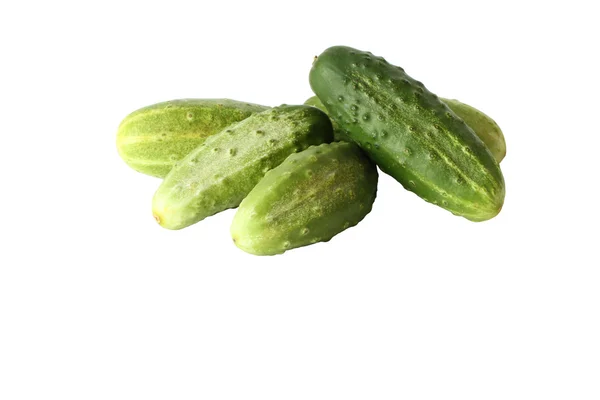 Komkommers op witte achtergrond — Stockfoto