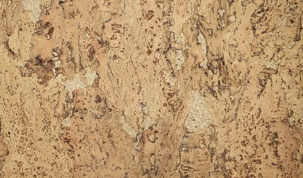 Světle hnědé korek dřevo panel - pozadí — Stock fotografie zdarma