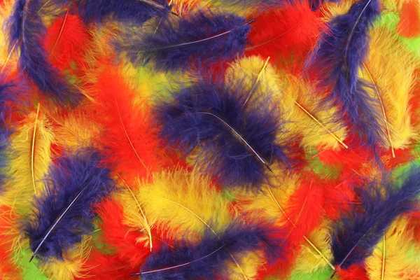 Red, blue, yellow, green plumes background — Stock Photo, Image