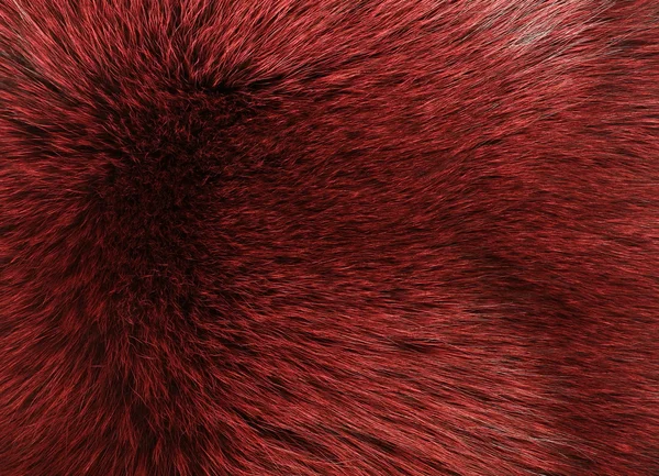 Red and black colored arctic fox fur — Stock Photo, Image