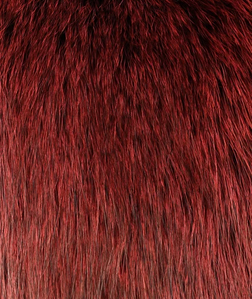 Red and black colored arctic fox fur — Stock Fotó