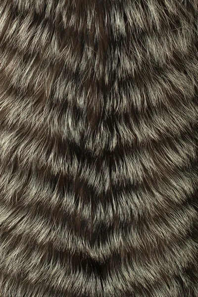 Silver fox stitched fur — Stock Photo, Image