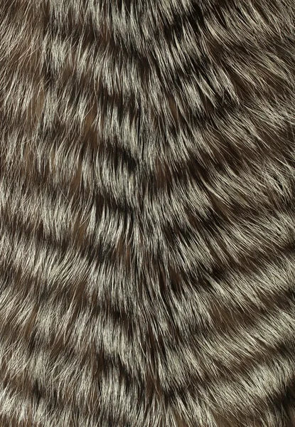 Silver fox stitched fur — Stock Photo, Image