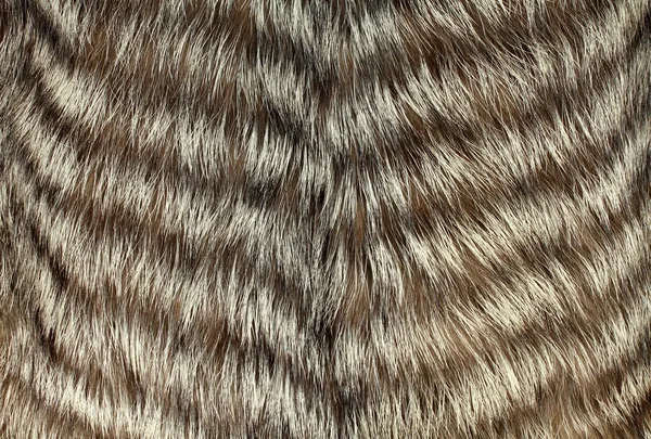 Silver fox stitched fur — Stock Photo, Image