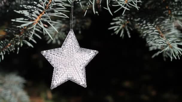 Decoration on Christmas tree - glassy shining star on blue spruce — Stock Video