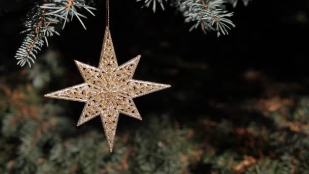 La decoración en el árbol de Navidad - la estrella que brilla de oro en el abeto azul — Vídeos de Stock