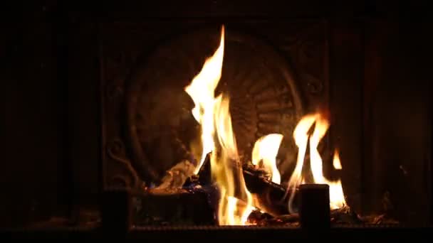 Brandend brandhout in de haard — Stockvideo