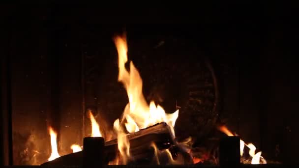 Burning firewood in the fireplace — Stock Video