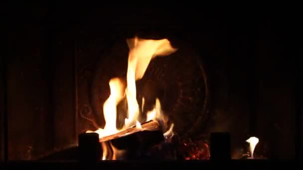 Brennholz im Kamin verbrennen — Stockvideo