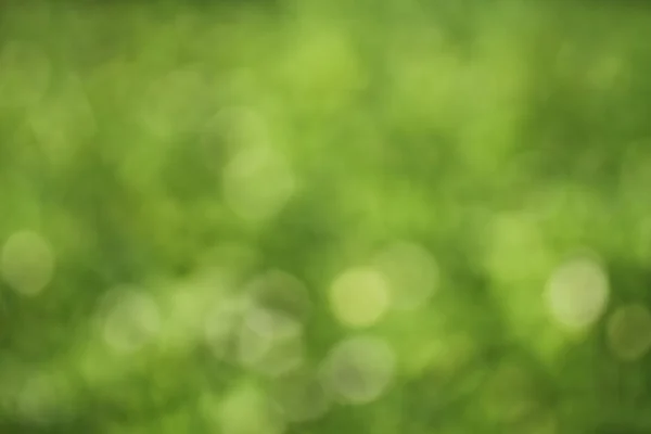 Soyut bokeh yeşil arkaplanı