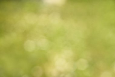 Soyut bokeh yeşil arkaplanı