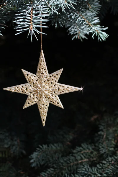 Decorazione su albero di Natale - stella splendente d'oro su abete rosso blu — Foto Stock