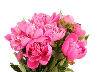 Beyaz arka plan üzerinde küçük pembe peonies buket