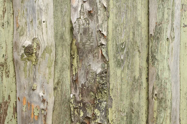 Painel de madeira verde claro velho — Fotografia de Stock