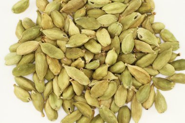 kakule tohumu beyaz zemin üzerine