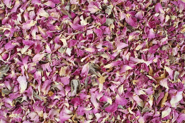 Secco petali di rosa sfondo — Foto Stock