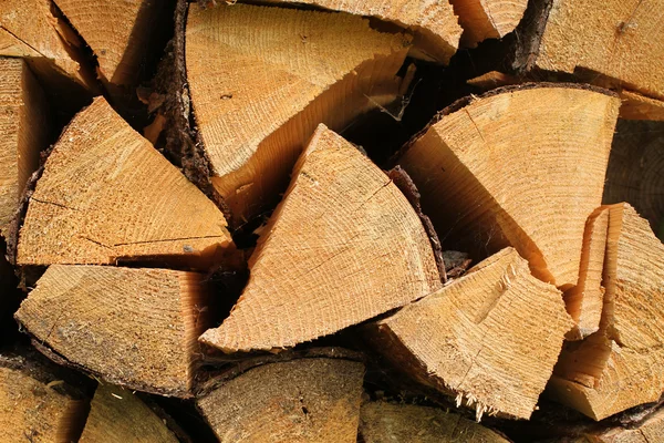 Průřezy palivového dřeva — Stock fotografie