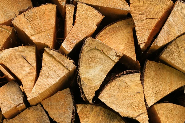 Průřezy palivového dřeva — Stock fotografie