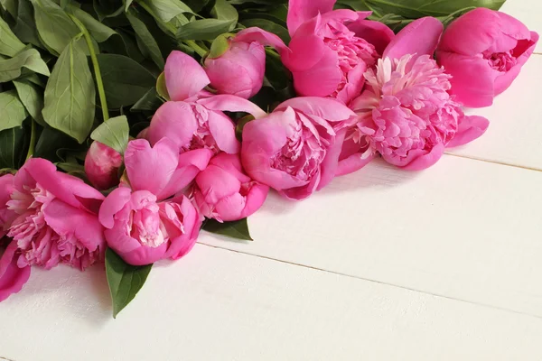 Bouquet of small pink peonies on white painted wooden background — Stock Photo, Image