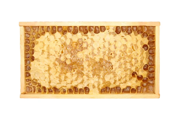 Miel en el peine aislada sobre fondo blanco — Foto de Stock