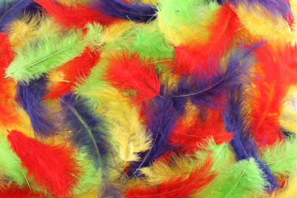 Fundo - pequenas plumas vermelhas, azuis, verdes, amarelas situadas irregularmente — Fotografia de Stock