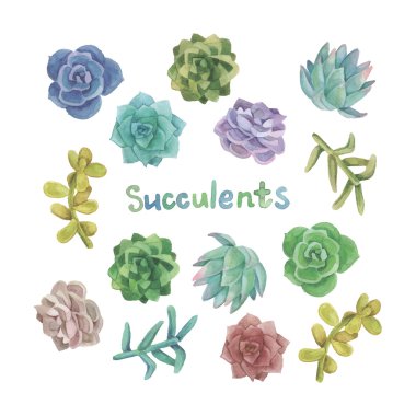 Download Succulent Plants Free Vector Eps Cdr Ai Svg Vector Illustration Graphic Art