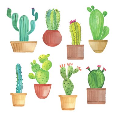 Watercolor cactus set