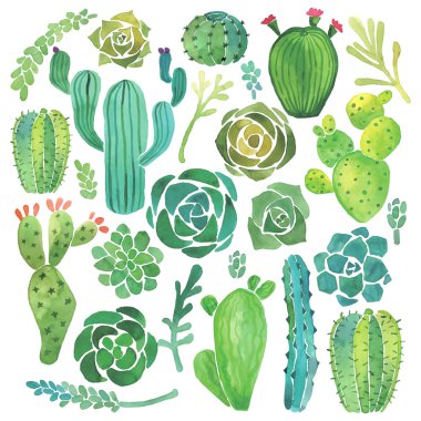 Watercolor cactus and succulent set