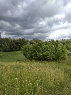 Fırtına öncesi sessizlik. Yağmur bulutları. Köyde yaz mevsimi