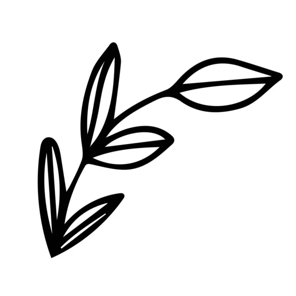 Симпатичная Веточка Травы Руке Нарисована Простым Стилем Цветочные Векторные Иллюстрации — стоковый вектор
